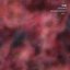 Reworks Maurizio Bianchi Vol. 1