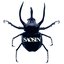 Saosin