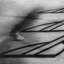 Something In the Way (feat. Arve Henriksen) - Single
