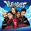 Vleugels