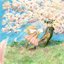 Petals (feat. 夏背)