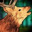 ELK ERA
