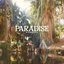 Paradise