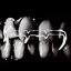 FANGZ (BLOODRAVE REMIX)