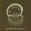 Ambienaut