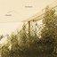 Disquiet