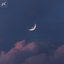 white moon