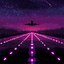 Last Flight Home
