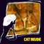 Cat Inside
