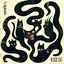 Black Cat