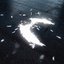 angel's tears