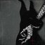 Doberman - Single