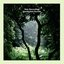Gentle Rain Sounds