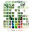 JOV/LBDG (split)