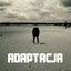 Adaptacja