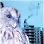 梟－フクロウ－