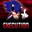 EXECUTION