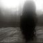 Wither Away