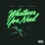 Whatever You Need (feat. Chris Brown & Ty Dolla $ign) - Single