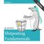 Shitposting Fundamentals (2nd edition)