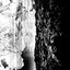 Moral Decay