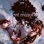 silent minority