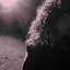 Famous Girl - Single