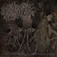 Dismantling Neuroanatomy [Explicit]