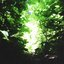 Everglow
