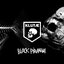 Black Piranha