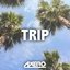 Trip