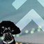 forrunner