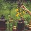 Apothecary