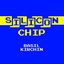 Silicon Chip - Single