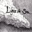 Lights At Sea