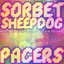 Pacers