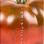 Tokyo Tetsudo chocolate