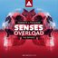 Senses Overload (The Remixes)