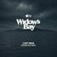 The Last Man (from "Widow's Bay")