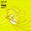 Hybrid Present Y4K