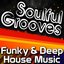 Soulful Grooves - Funky & Deep House Music