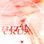 Bit Crux