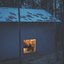 Whispers of Silence