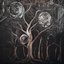 Ancient Trees