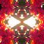 Icarus (feat. 00Junm) - Single