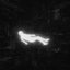 [ghosts] don't sleep