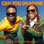 Can You Imagine (with Bipolar Sunshine)