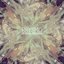 Several Feelings EP