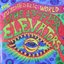 The Psychedelic World of the 13th Floor Elevators