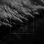 Headlock - Single